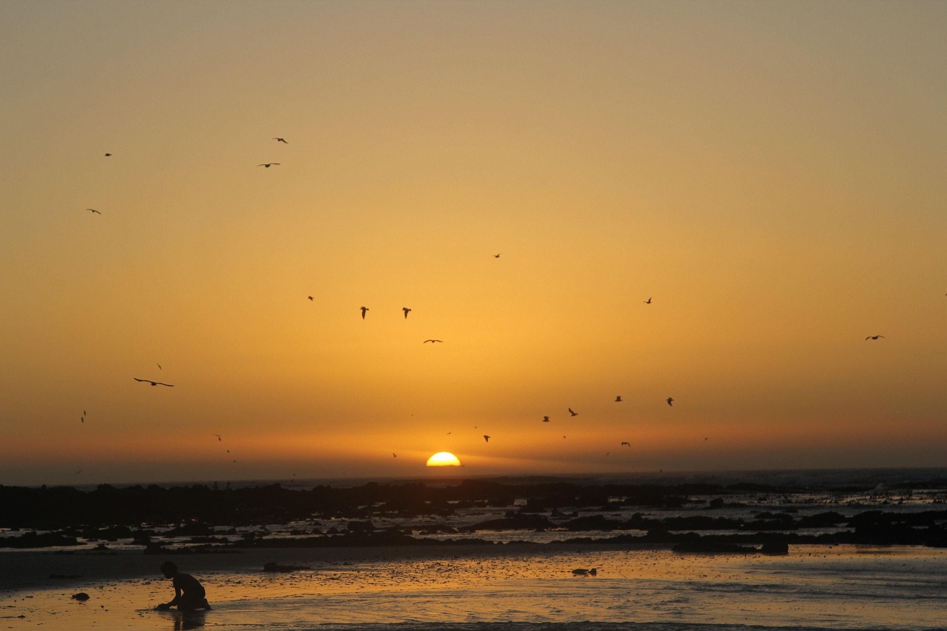 Coucher de soleil sur un paysage africain, pour évoquer l'horizon, la vision et l'avenir